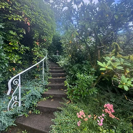Timeless Rose House Weisenbach